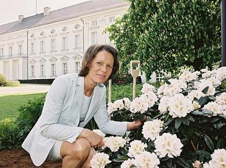 Die Gattin des Bundespräsidenten, Christina Rau, bei der Pflanzung eines Rhododendronbusches der nach ihr benannten Sorte "Christina Rau", im Garten des Schlosses Bellevue.