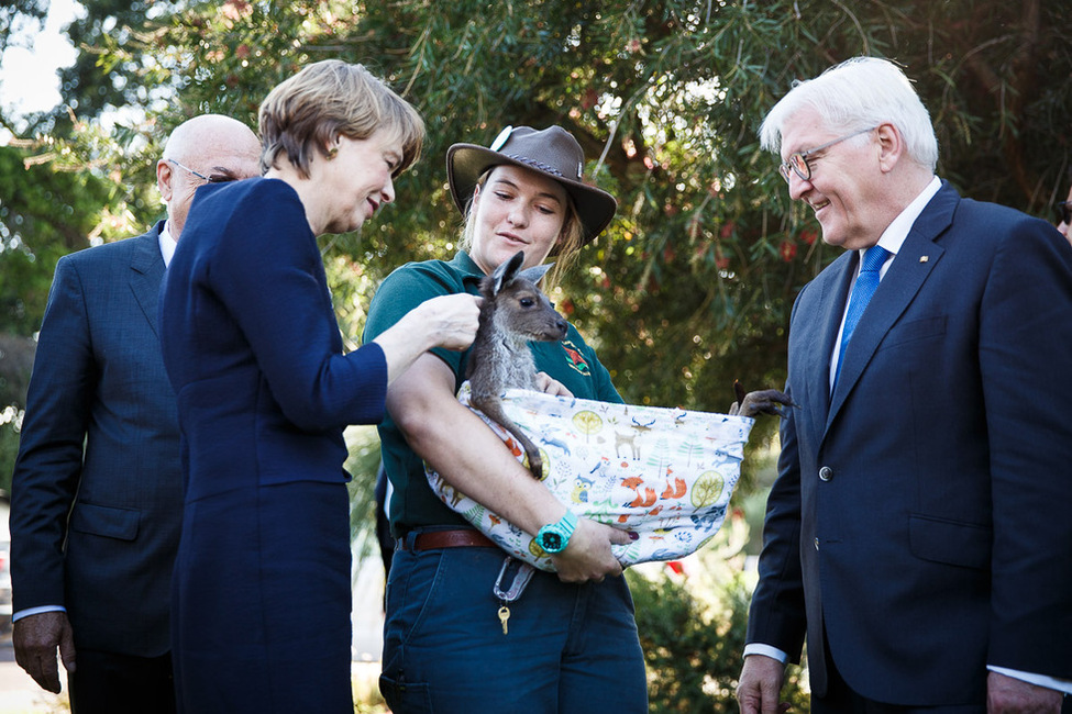 Bundespräsident Frank-Walter Steinmeier und Elke Büdenbender schauen sich ein Waisen-Baby-Kanguruh beim gemeinsamen Rundgang mit einem Ranger durch den Kings Park in Perth anlässlich des Staatsbesuchs in Australien an