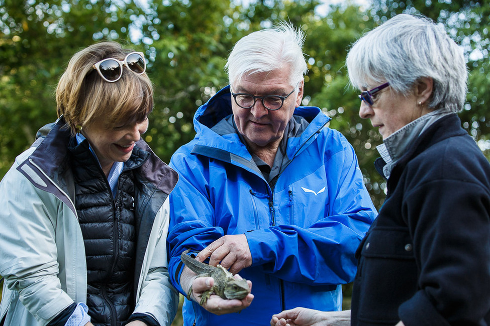 Bundespräsident Frank-Walter Steinmeier und Elke Büdenbender betrachten eine Eidechse bei der Wanderung durch das Naturschutzgebiet Zealandia in Wellington anlässlich des Staatsbesuchs in Neuseeland