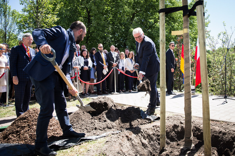 Bundespräsident Frank-Walter Steinmeier pflanzt einen Baum in den Deutsch-Polnischen Gärten im Skaryszewski-Park in Warschau