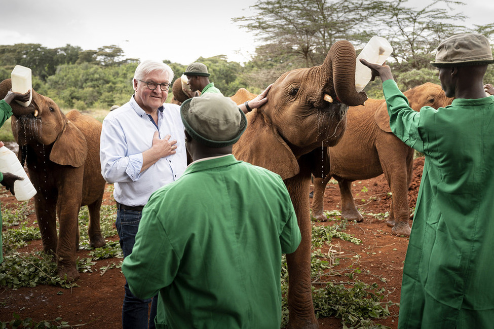 Bundespräsident Frank-Walter Steinmeier im Gespräch mit Mitarbeitern des Sheldrick Wildlife Trust Elefanten-Waisenhauses in Nairobi während des Staatsbesuchs in der Republik Kenia.