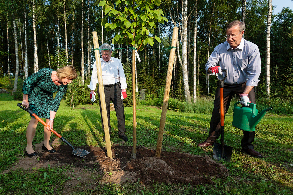 Bundespräsident Joachim Gauck und Daniela Schadt pflanzen gemeinsam mit Estlands Präsident Toomas Hendrik Ilves eine Linde im Garten der Sommerresidenz in Ärma