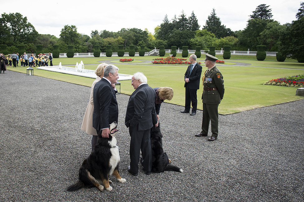 Bundespräsident Joachim Gauck und Daniela Schadt begegnen den Berner Sennenhunden des irischen Präsidenten Michael D. Higgins im Park seines Amtssitzes in Dublin anlässlich des Staatsbesuchs 