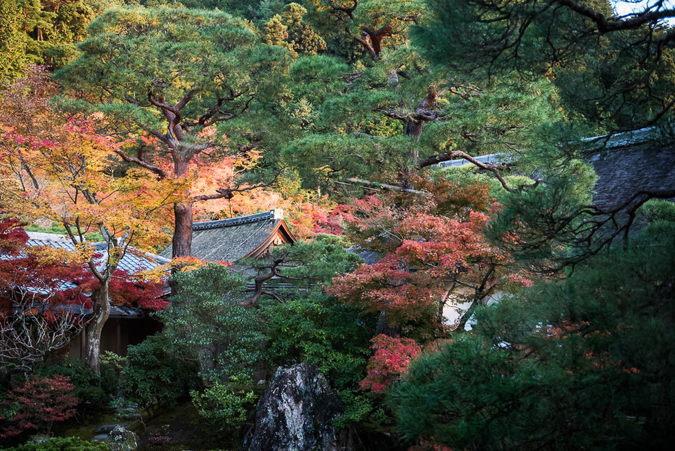 Besuch des Ginkakuji-Tempels anlässlich des offiziellen Besuchs in Japan