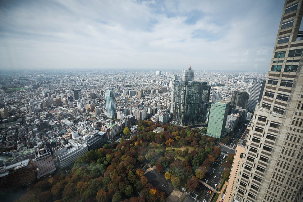 Aussicht vom 45. Stock des Tokyo Metropolitan Government Building anlässlich des offiziellen Besuchs des Bundespräsidenten in Japan