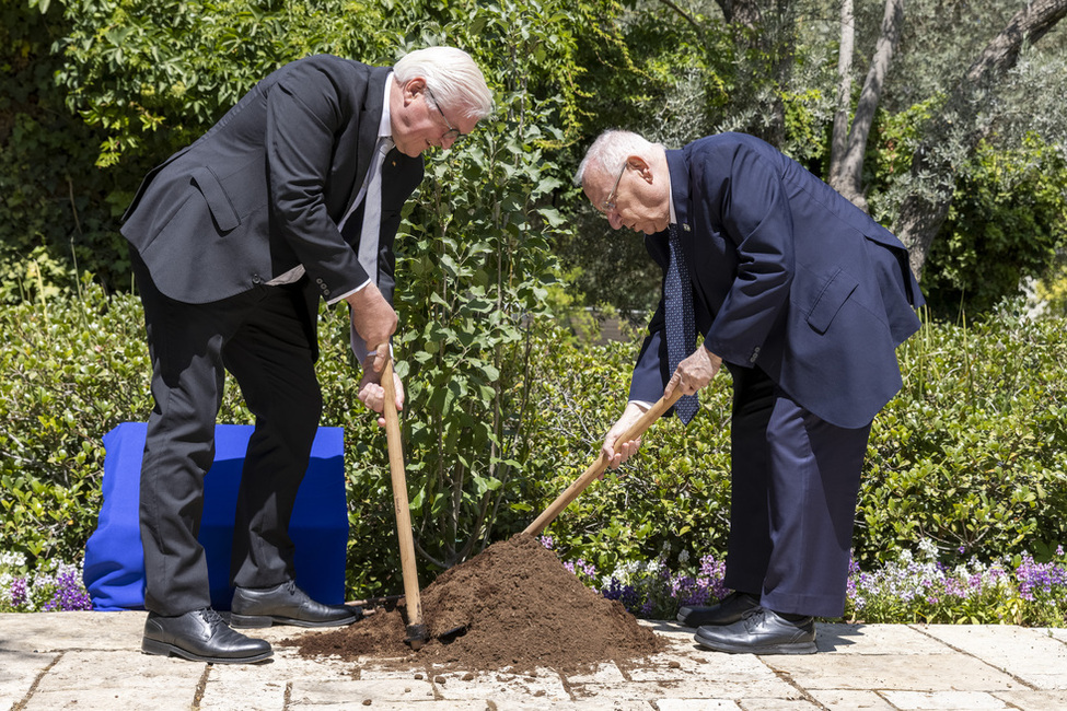 Bundespräsident Frank-Walter Steinmeier und Staatspräsident Reuven Rivlin pflanzen einen Baum im Garten der Residenz des Präsidenten des Staates Israel anlässlich des Staatsbesuchs in Israel
