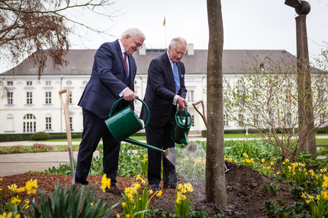 Bundespräsident Steinmeier und König Charles III. wässern einen Baum, der im Schlosspark Bellevue gepflanzt wurde