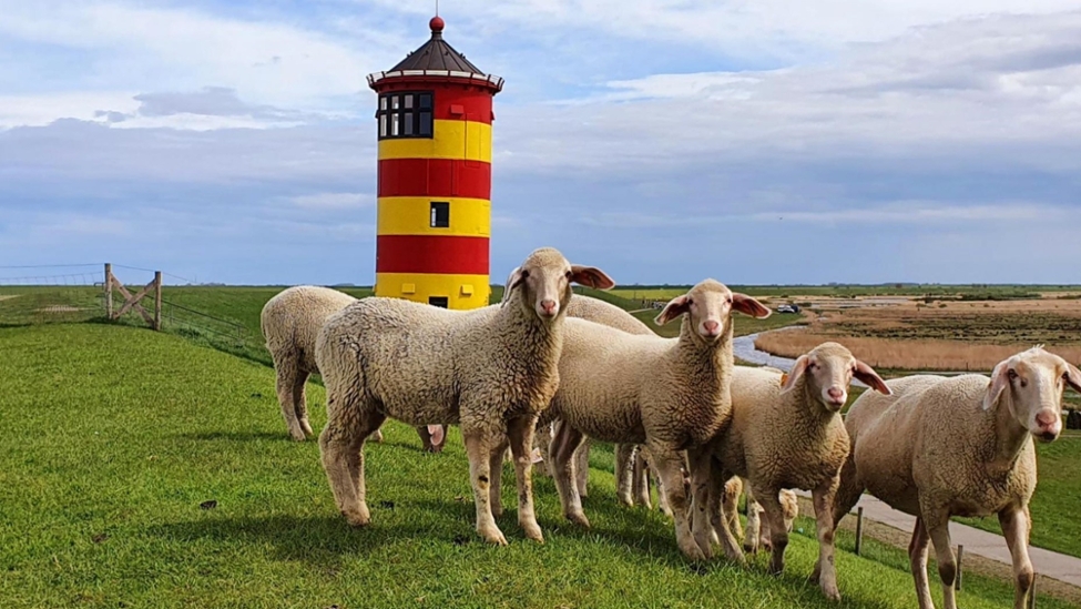 Niedersachsen – Partnerland beim Bürgerfest des Bundespräsidenten 2024 (© Nds. StK – Marion Holtz) Niedersachsen – Partnerland beim Bürgerfest des Bundespräsidenten 2024
